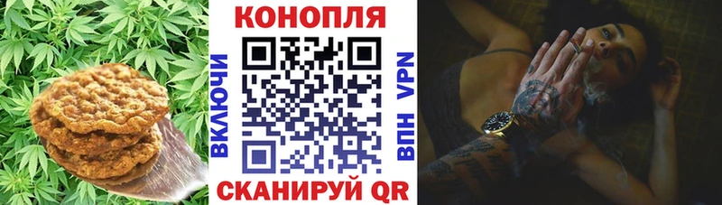 наркотики  Белая Холуница  Canna-Cookies конопля 