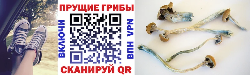 Псилоцибиновые грибы Magic Shrooms магазин продажи наркотиков Белая Холуница